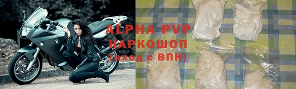 СК Алагир