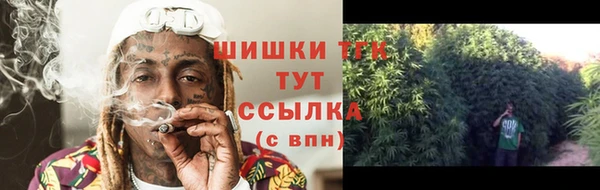 тгк Алзамай