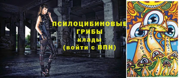 героин Алексин