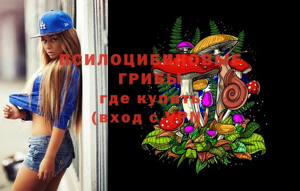 метадон Алексеевка