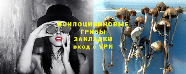 тгк Алзамай