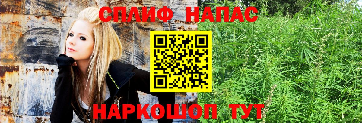 Канабис планчик Богородицк